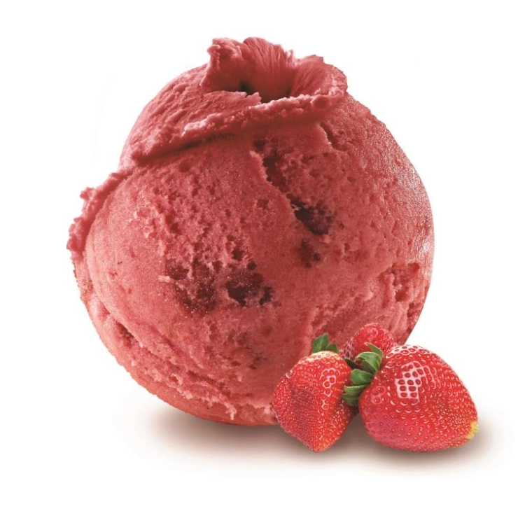 Fraise 2.5L Philippe FAUR