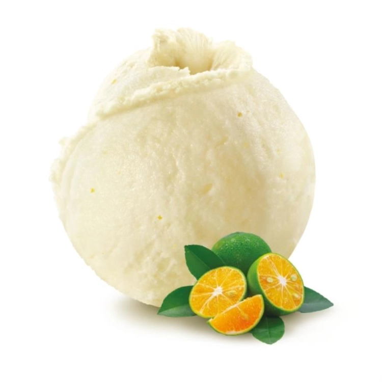 Citron vert kalamansi - Sorbet 2.5L