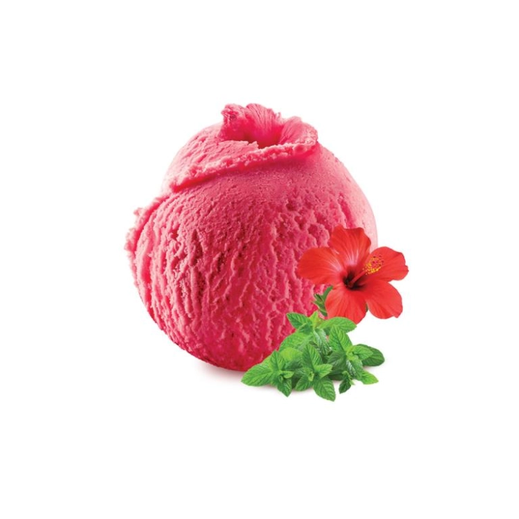 Hibiscus Menthe - Sorbet 2.5L