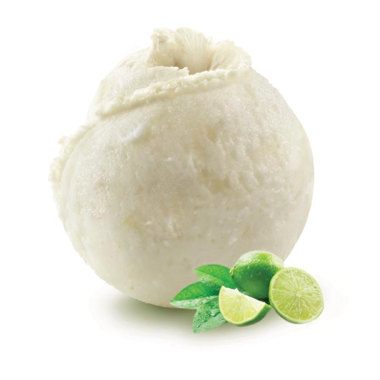 Citron vert - Sorbet 2.5L