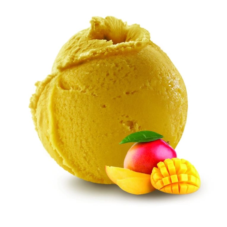 Mangue - Sorbet 2.5L