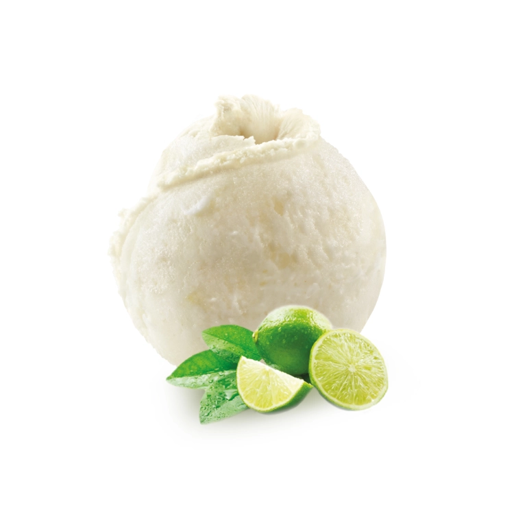 Citron Vert 22% - Sorbet 2.5L