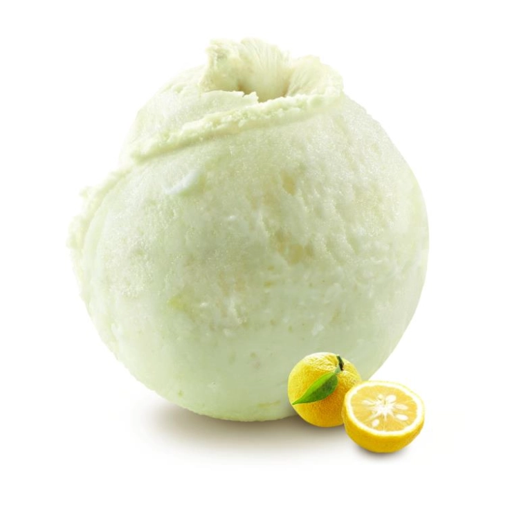 Yuzu - Sorbet 2.5L