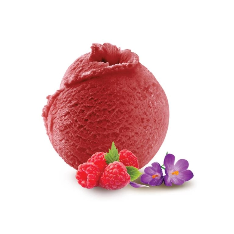 Framboise violette - Sorbet 2.5L