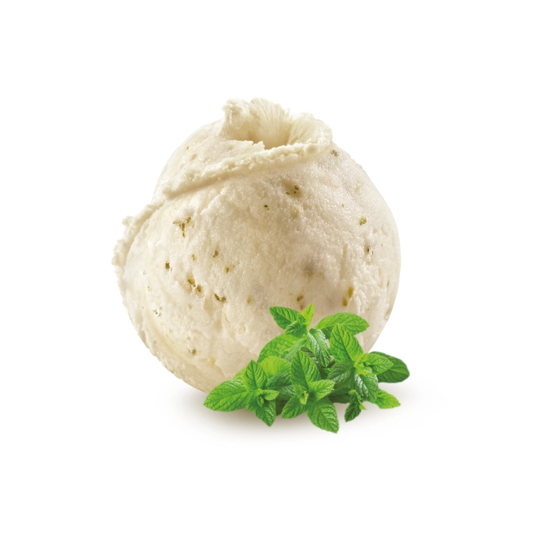 Menthe avec feuilles de menthe - Sorbet 2.5L