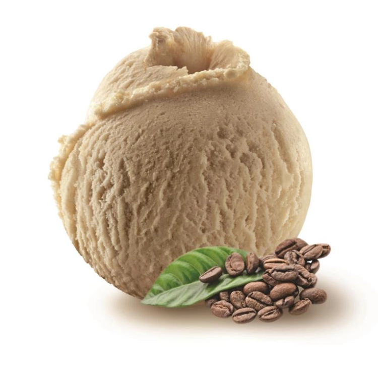 Café Crème Glacée BIO 2.5L