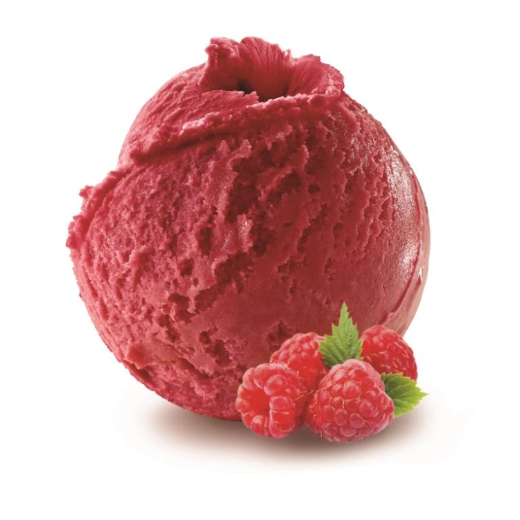 Framboise sorbet BIO 2.5L Philippe FAUR