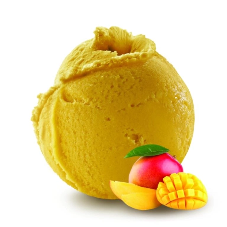 Mangue BIO 2.5L Philippe FAUR