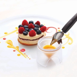 Coulis exotique 500g x 6