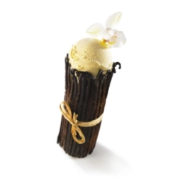 Vanille façon crème anglaise 2.5L