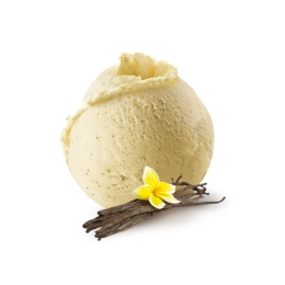 Vanille Madagascar - Crème glacée 2.5L