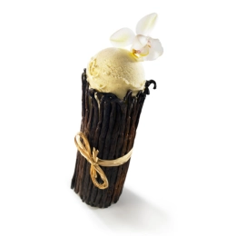 Vanille Madagascar - Crème glacée 2.5L
