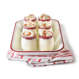 Bulgare groseille - Glace 2.5L
