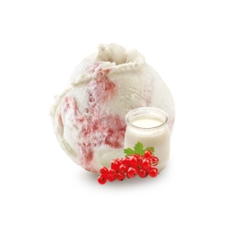 Bulgare groseille - Glace 2.5L