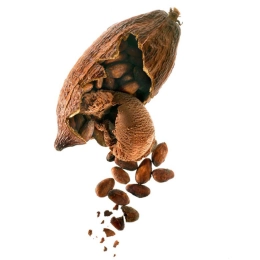 Chocolat Guanaja - Glace lait frais 2.5L