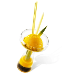 Fruits de la passion - Sorbet 2.5L