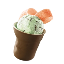 Menthe Chocolat Louise 2x4.5L