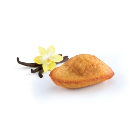 Petite madeleine vanille craquante