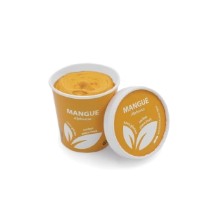 Petit pot sorbet mangue 20x130ml
