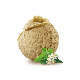 Menthe fleur d'oranger - Sorbet 2.5L