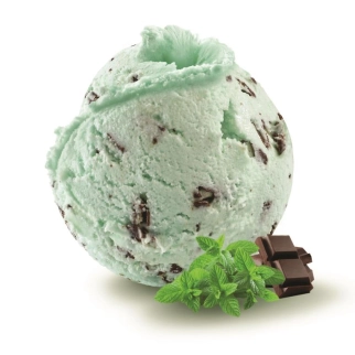 Menthe chocolat - Crème glacée 2.5L