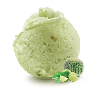 Agrumes cactus - Sorbet 2.5L