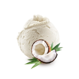 Noix de coco - Sorbet 2.5L