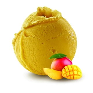 Mangue - Sorbet 2.5L