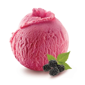 Mûre - Sorbet 2.5L