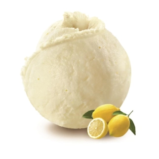 Citron jaune 2.5L Philippe FAUR