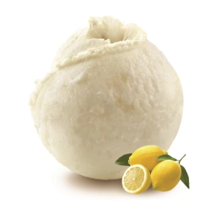Citron jaune sorbet BIO 2.5L Philippe FAUR