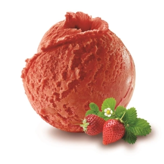 Fraise sorbet BIO 2.5L Philippe FAUR