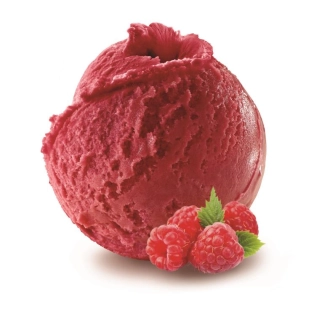 Framboise sorbet BIO 2.5L Philippe FAUR