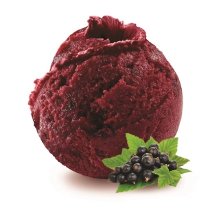 Cassis sorbet BIO 2.5L Philippe FAUR